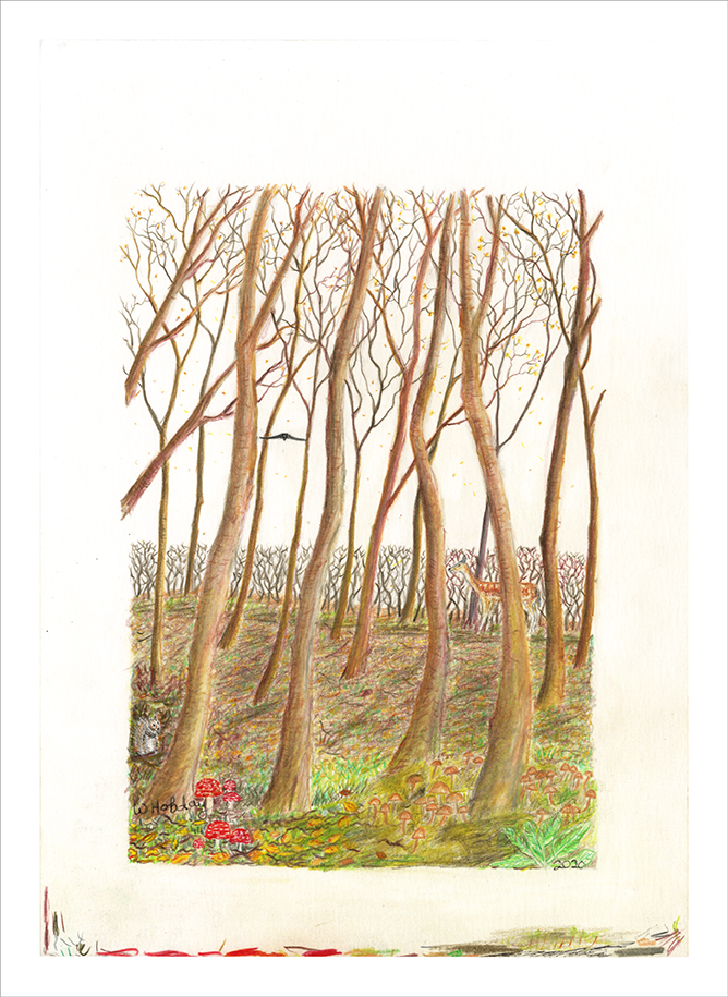 Autumn Deer & Toadstools 2021